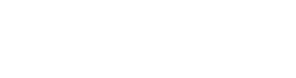 FoxIO logo